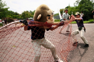 Illustration for article titled When Murderous, Rampaging Animals Are Fake and Look Goofy